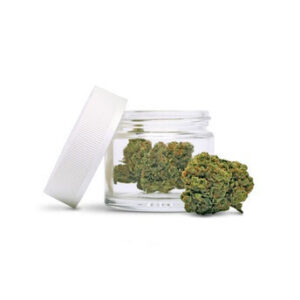 Plantinum Kush Breath Famouski