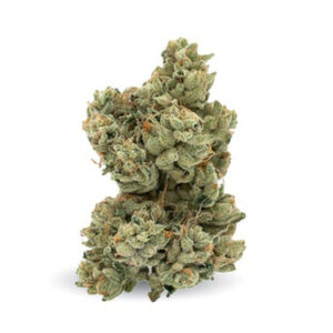 Riff OG