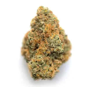 Oreoz strain