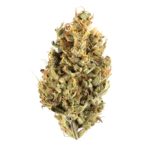 Gushers strain